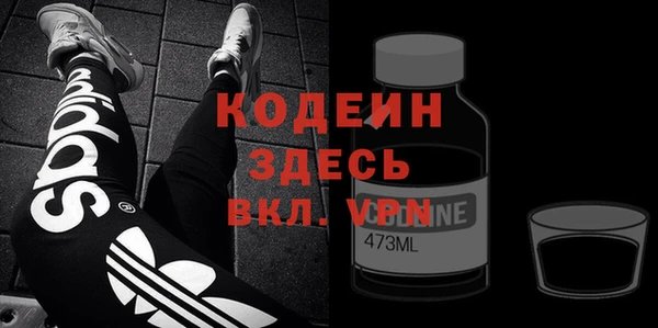 молекула духа Арсеньев