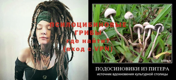 мет Аркадак