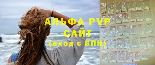 молекула духа Арсеньев