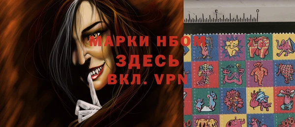 молекула духа Арсеньев