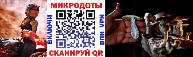 Купить где  Грязи  Псилоцибиновые грибы прущие грибы 